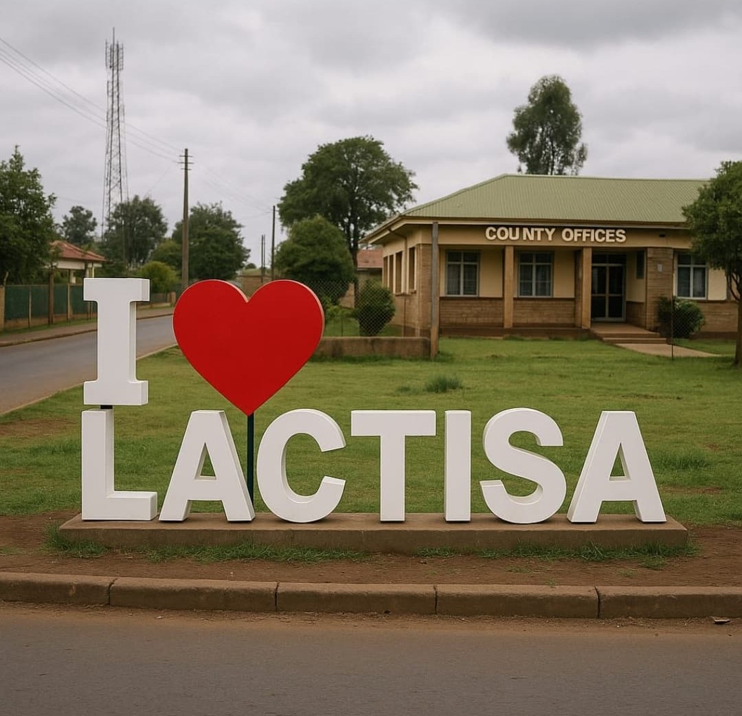 Community service volunteers